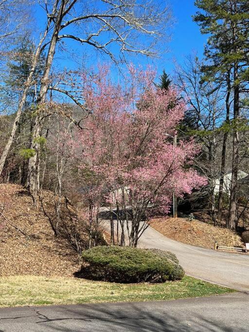 Creekside Gated Golf Mtn Villa W/Fast Wifi & Paved Franklin Eksteriør bilde