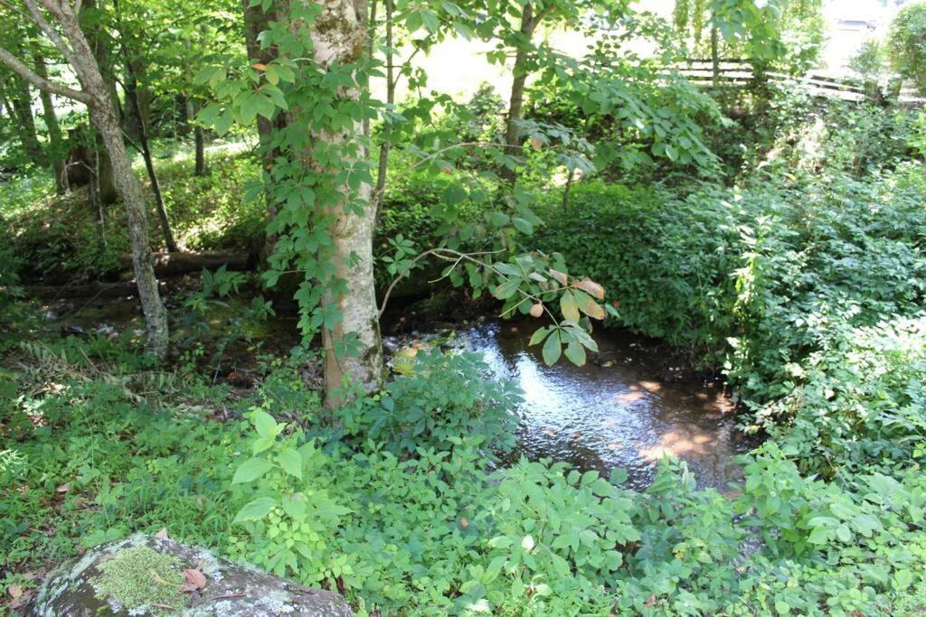 Creekside Gated Golf Mtn Villa W/Fast Wifi & Paved Franklin Eksteriør bilde