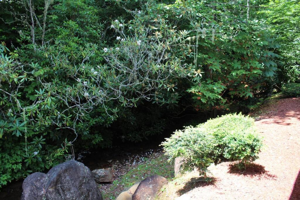 Creekside Gated Golf Mtn Villa W/Fast Wifi & Paved Franklin Eksteriør bilde