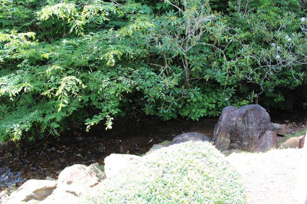 Creekside Gated Golf Mtn Villa W/Fast Wifi & Paved Franklin Eksteriør bilde